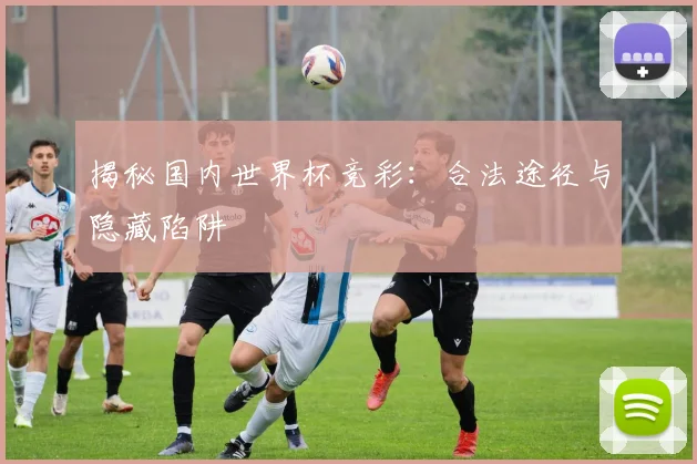 揭秘国内世界杯竞彩:合法途径与隐藏陷阱