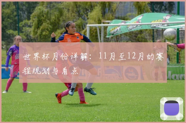 世界杯月份详解：11月至12月的赛程规划与看点