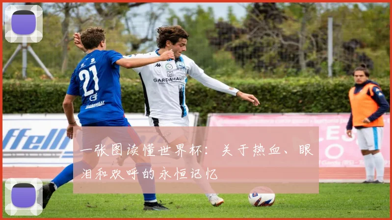 一张图读懂世界杯：关于热血、眼泪和欢呼的永恒记忆