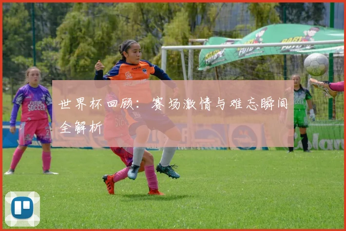 世界杯回顾：赛场激情与难忘瞬间全解析